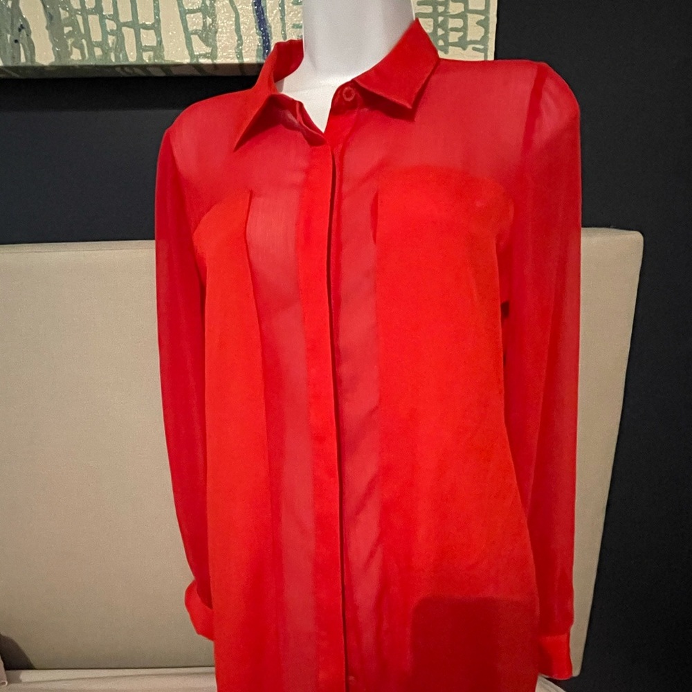 Red Blouse